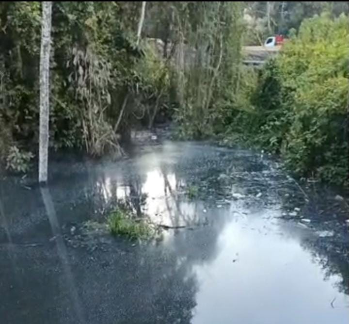Laguna de aguas servidas tiene más de un año