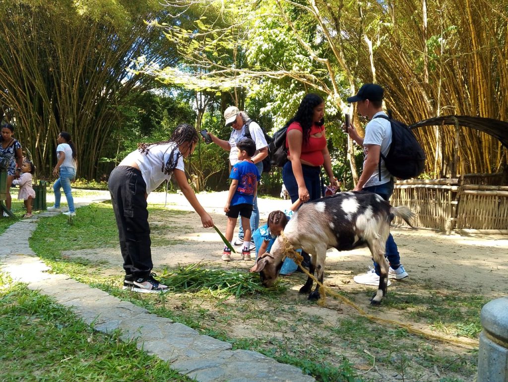 6.548 personas visitaron Los Coquitos en Carnaval