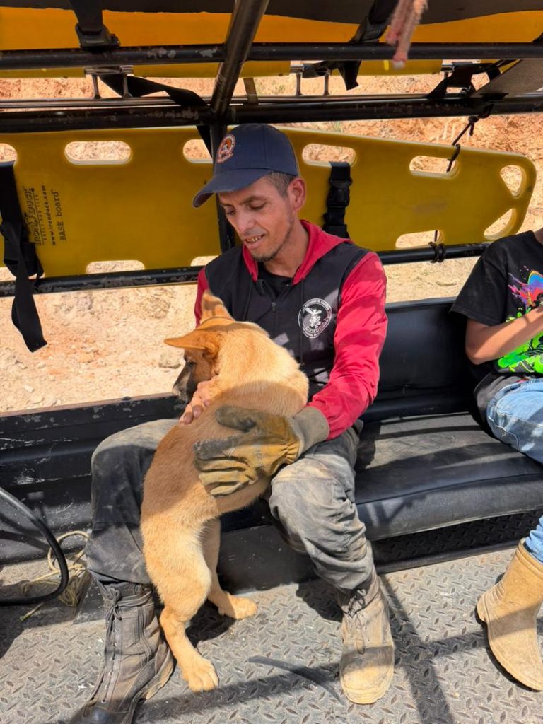 Rescatan a perritas atrapadas en una cueva