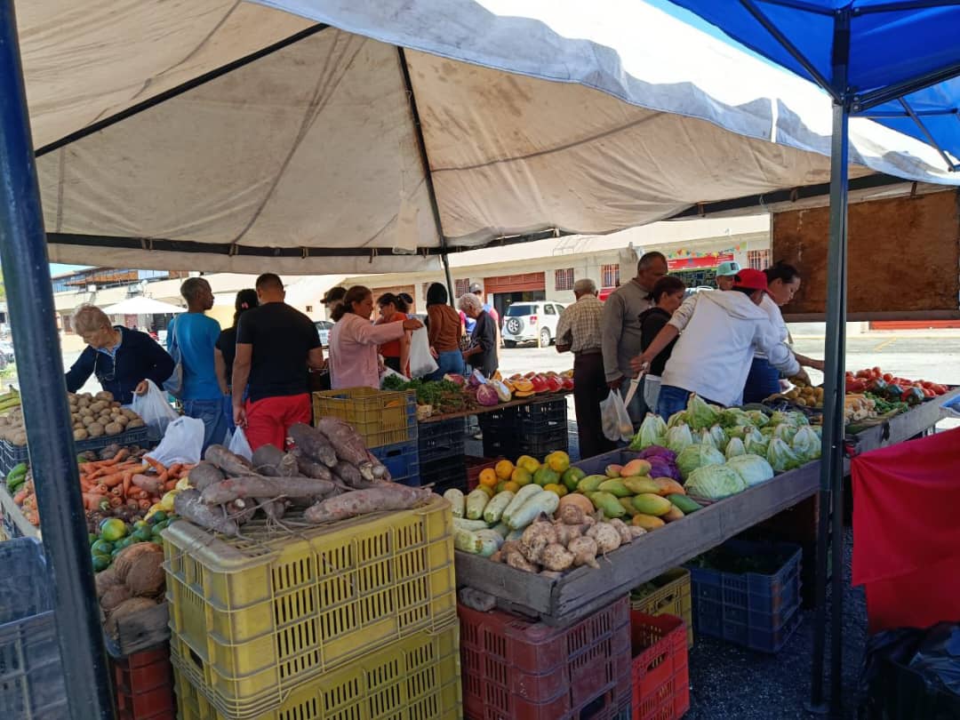Aprovechan precios en mercadito de Carrizal
