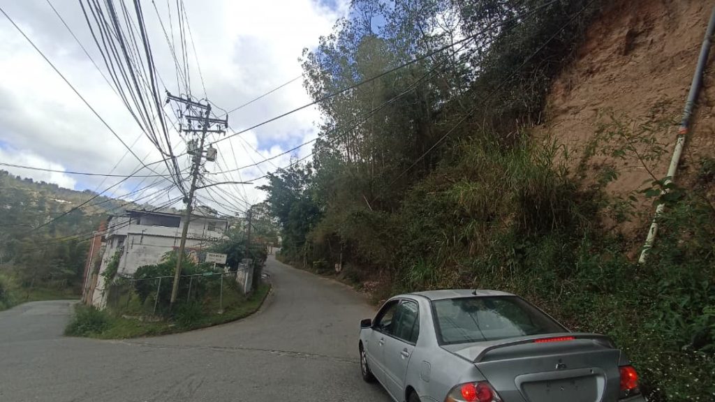 Retiran árbol caído en Colinas de Carrizal