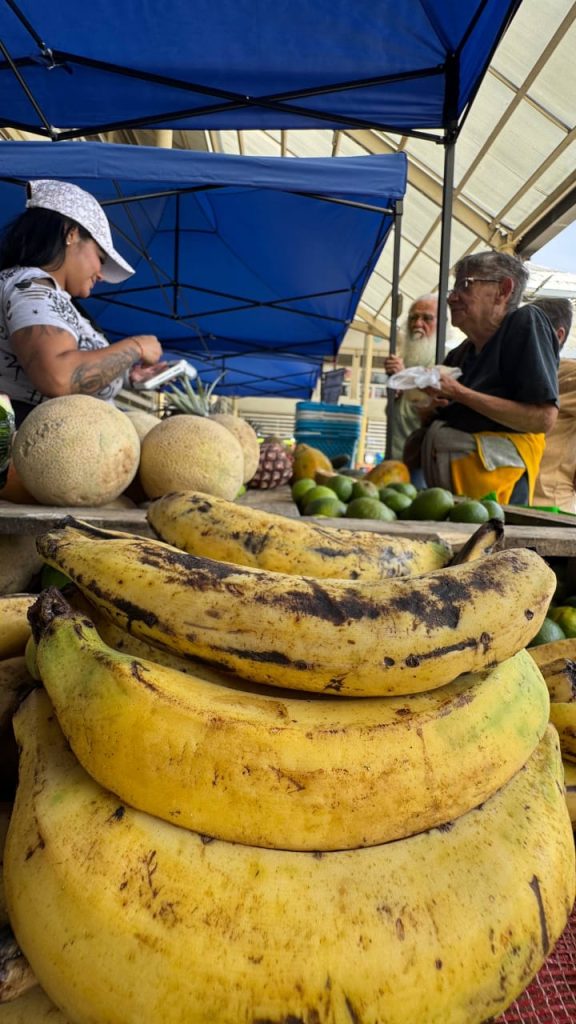 Feria Corpoguaica Campesina desde el 27 de febrero
