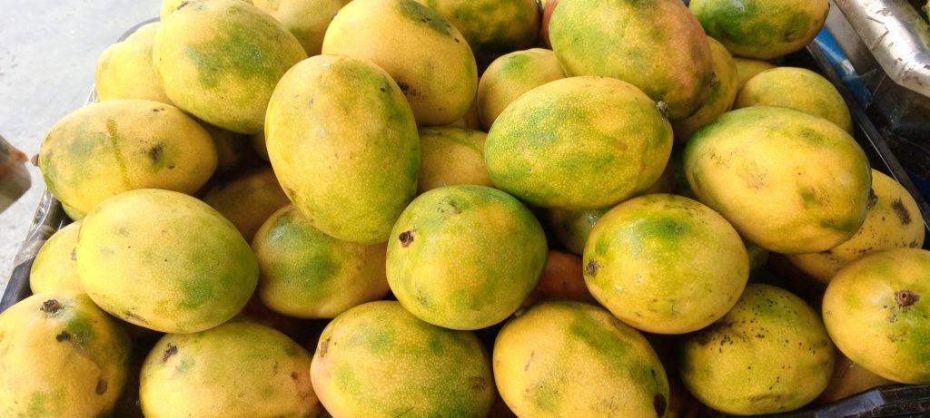 Llegada de mango a fruterías anticipa temporada
