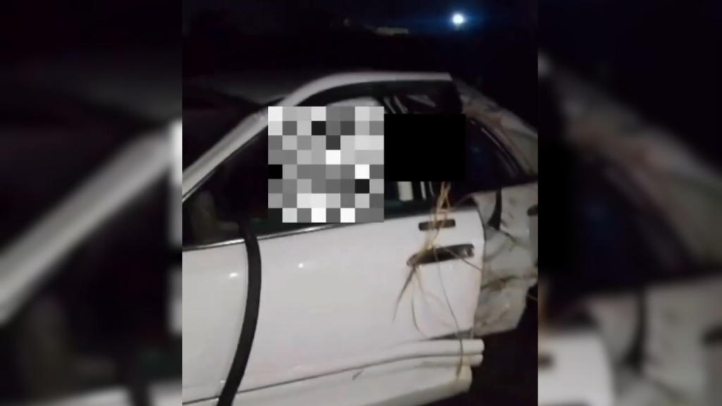 Cuatro fallecidos tras vuelco de un expreso en la ARC