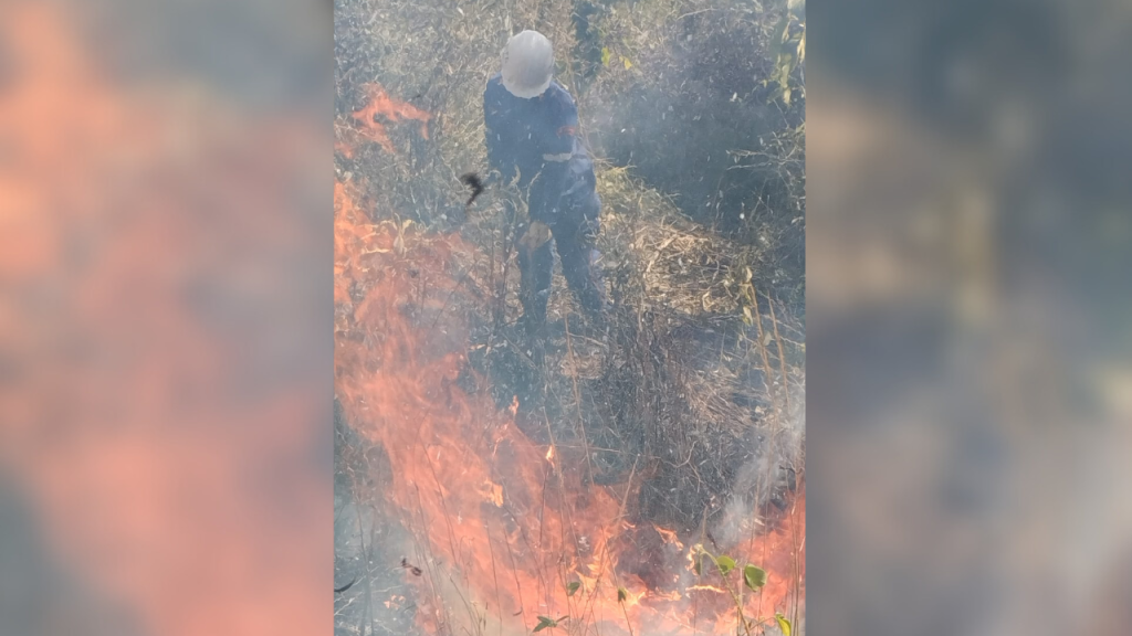 Controlan incendio de vegetación en terrenos del IVIC