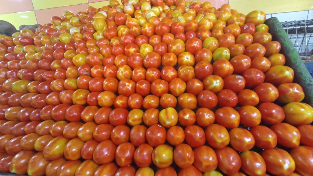 Precio del tomate agarra vuelo