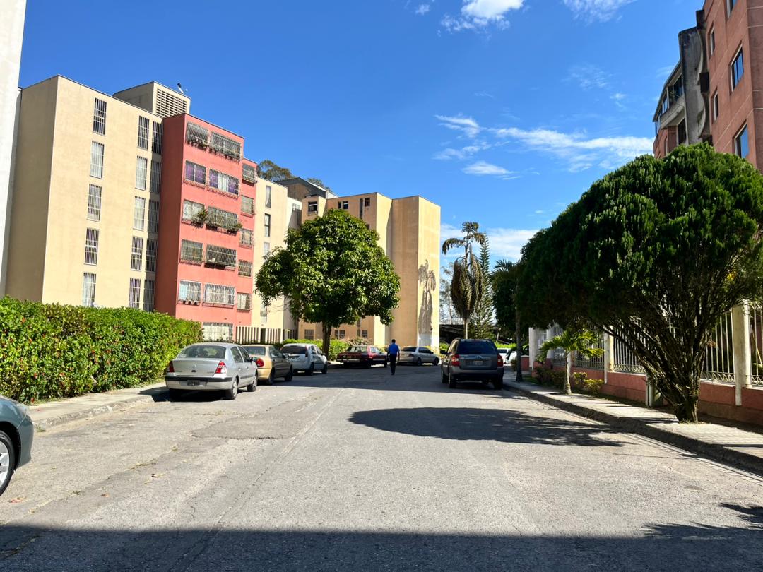 Secos en la urbanización Montebello