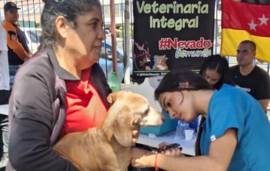 Atendieron 23.079 animales entre enero y febrero