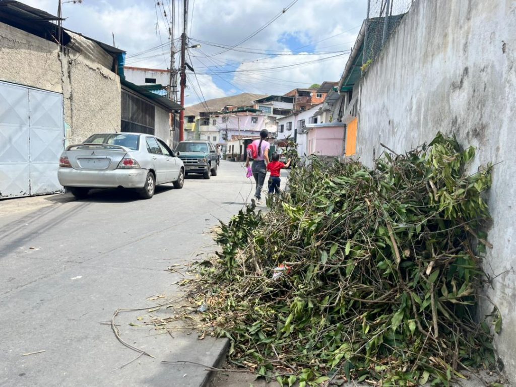 Acumulación de desechos vegetales en El Nacional