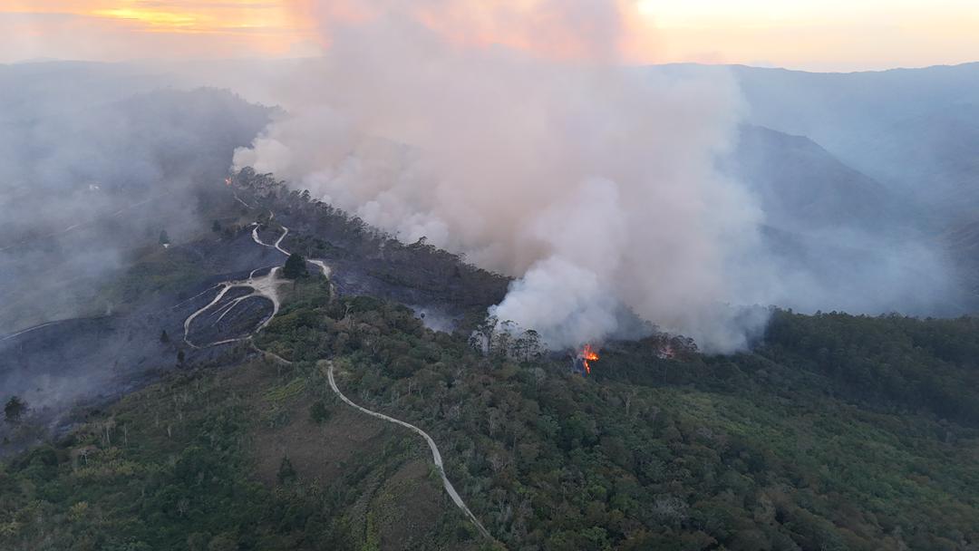 Incendio consume varias hectáreas del parque Macarao