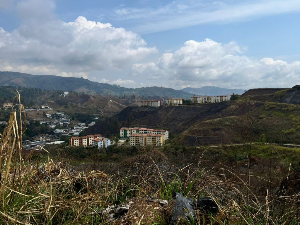 Incendio forestal crítico en Alto Verde
