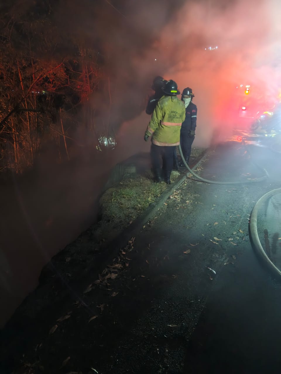 Voraz incendio en la Panamericana
