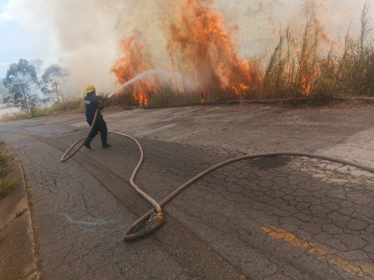 Cinco incendios de vegetación pusieron en jaque a Los Teques este lunes