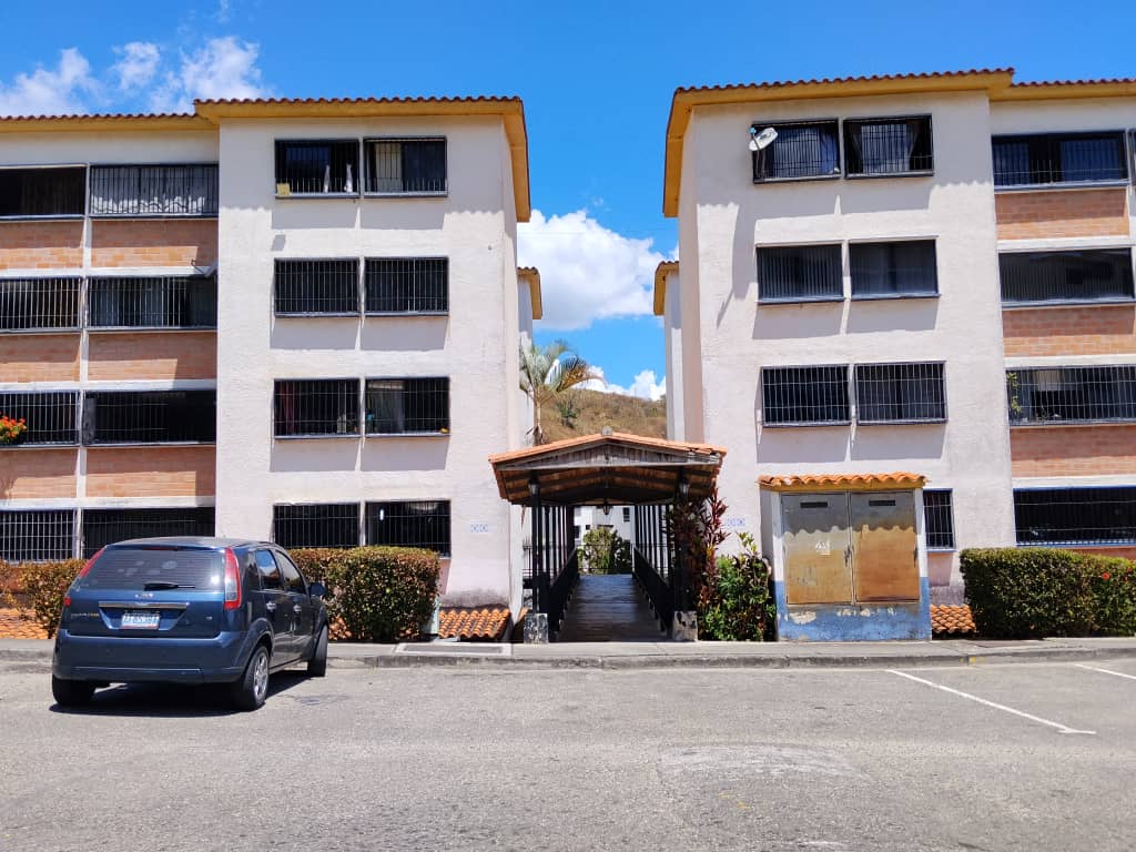 Un gato quedó atrapado en apartamento de La Quinta