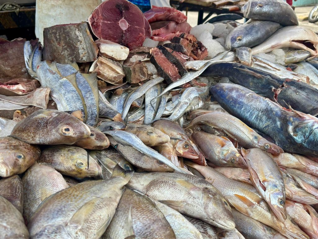 Pescado fresco y salado desde Bs. 2.200