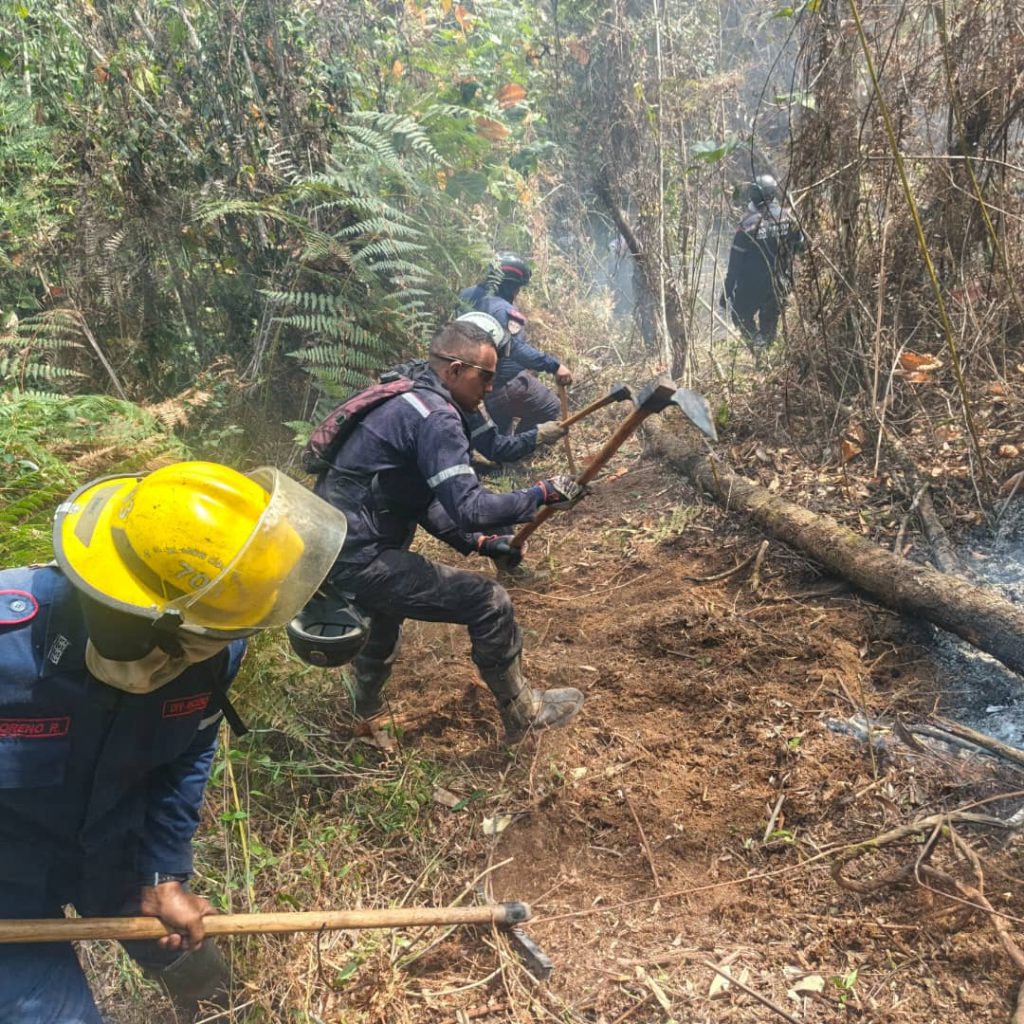 Contingente especial busca controlar el fuego en Macarao
