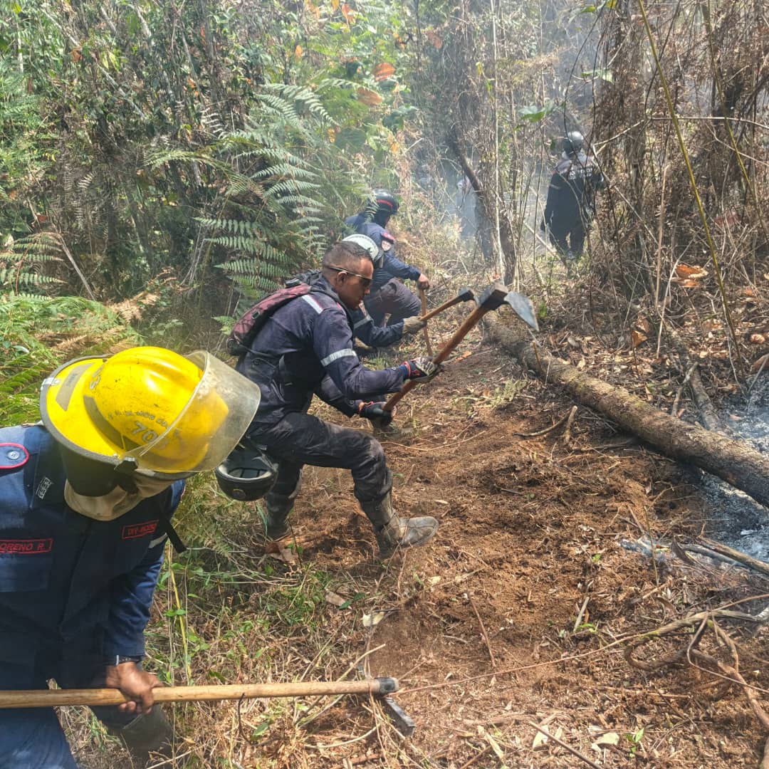 Contingente especial busca controlar el fuego en Macarao