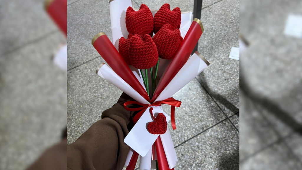 Las puntadas de amor de Sofía                   