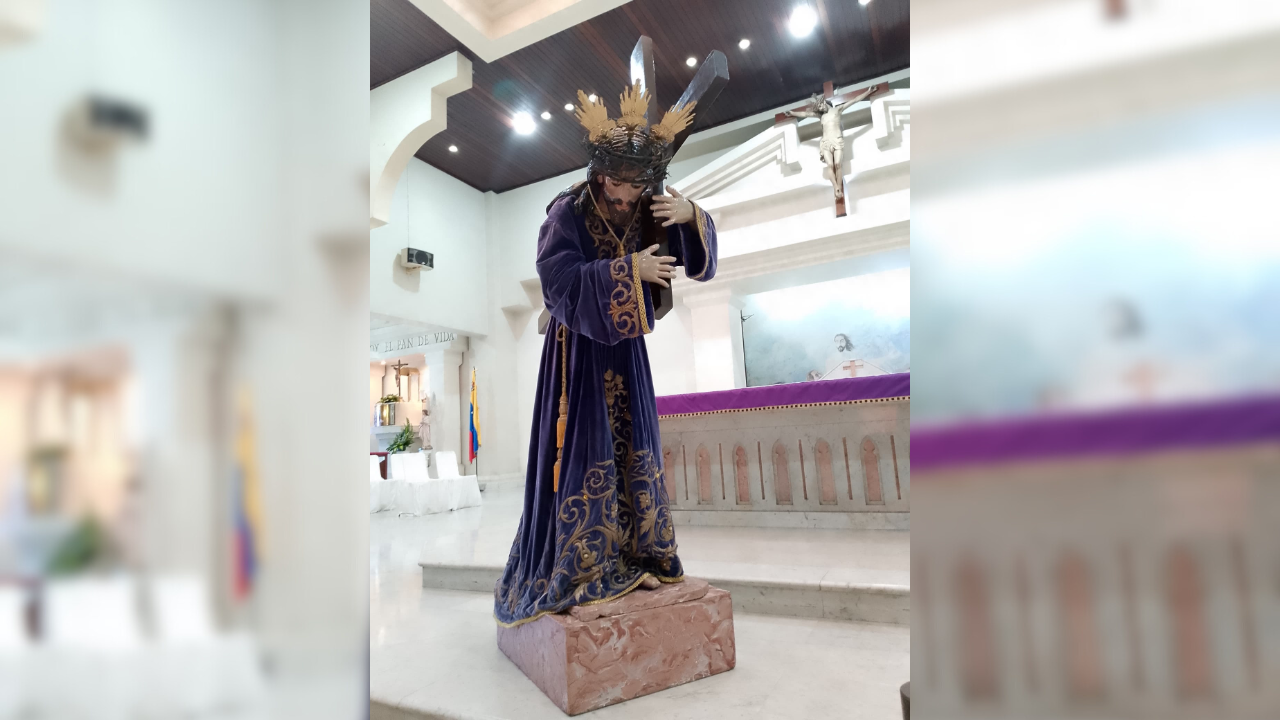 Recolectarán rosas moradas para el Nazareno