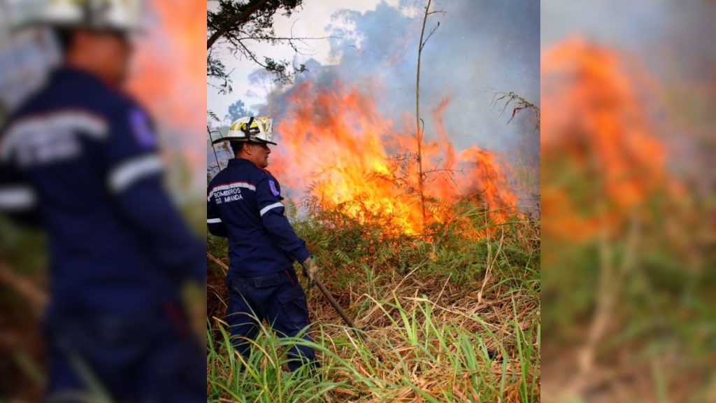 Incendio de vegetación causó alarma en comunidad Manuelita Saenz
