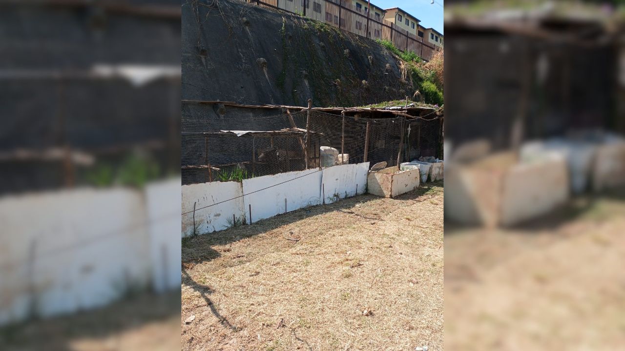 Paralizan ocupación Ilegal en Alto Verde