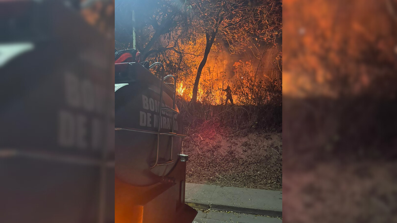 Incendio de vegetación causa alarma en El Paso