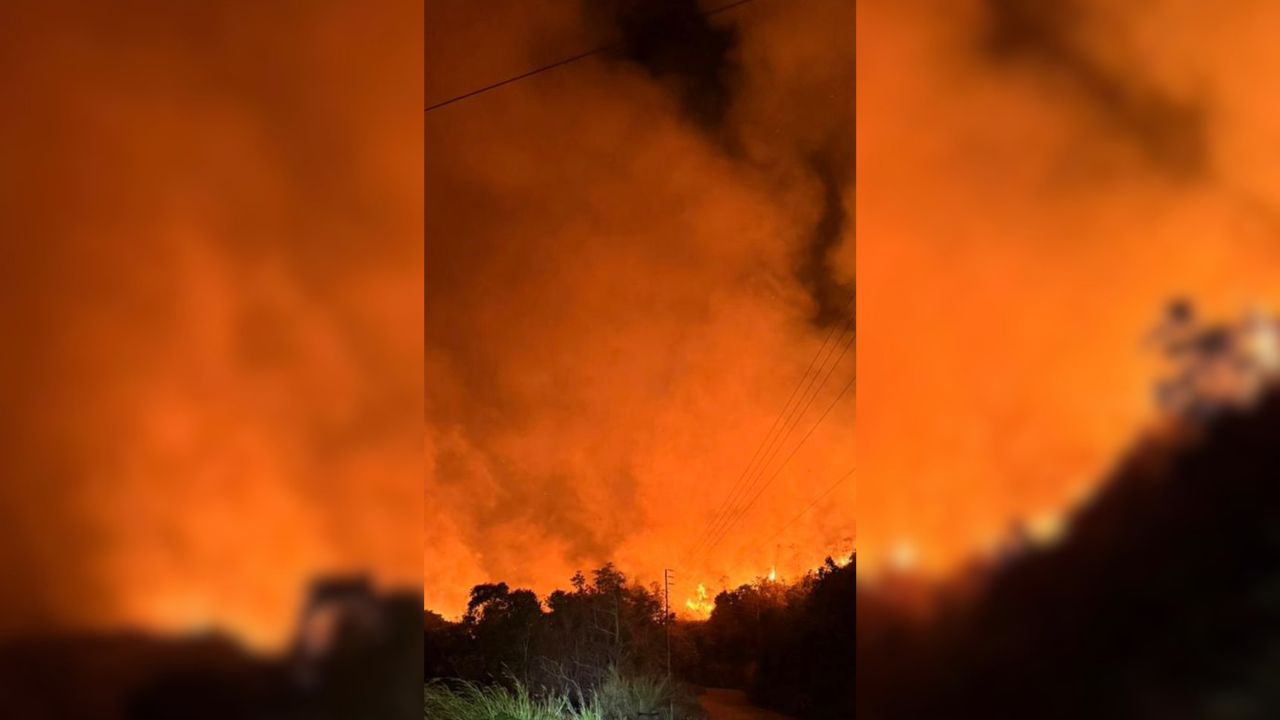 Peligran sembradíos y animales por incendio en Macarao