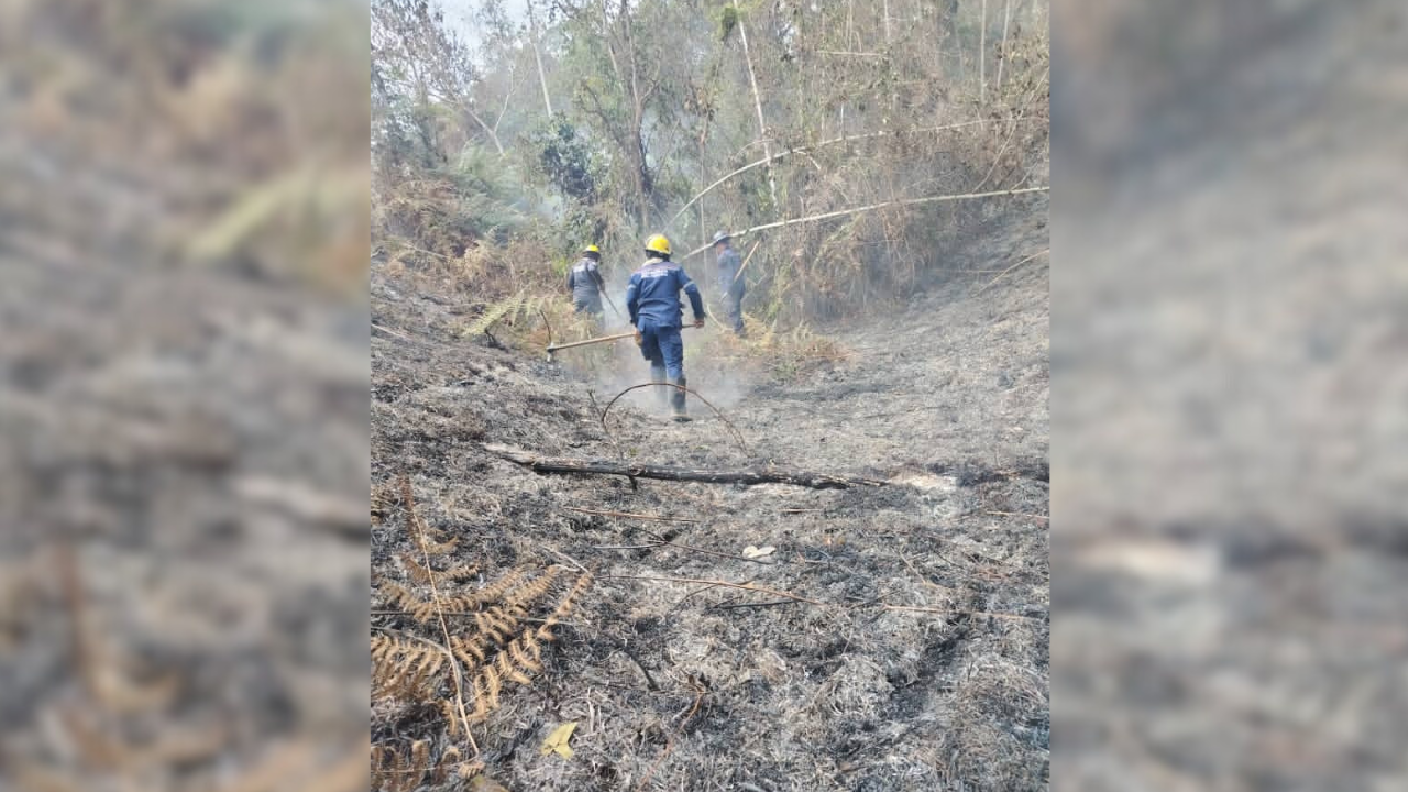 90 hectáreas del parque Macarao quedaron destruidas