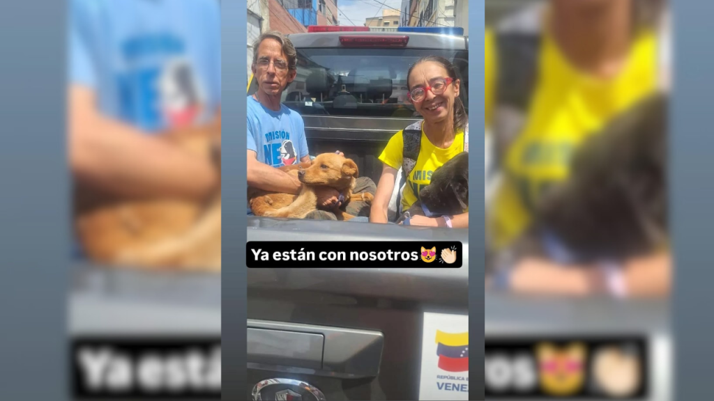 Rescatados dos perritos que estaban al borde de la muerte