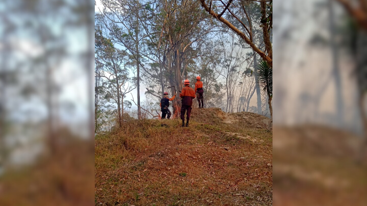 Combaten incendio en Club de Campo