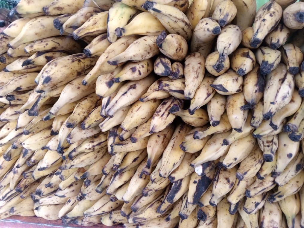 Precio del plátano experimenta un leve descenso