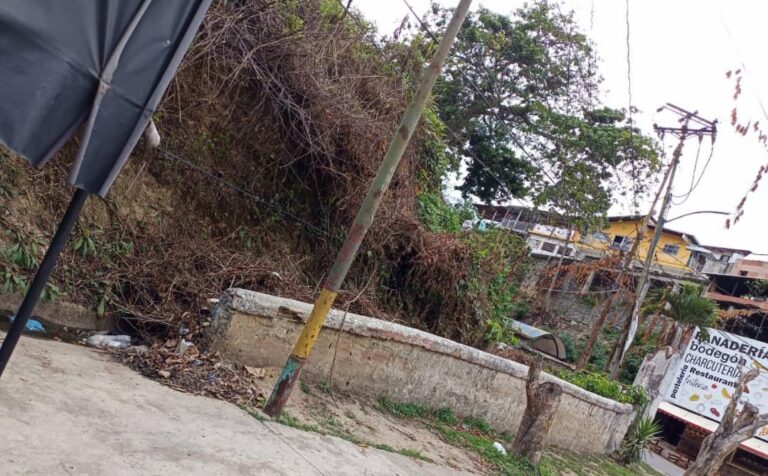 11f3896b-703e-4003-8683-dc4a2dbc4573