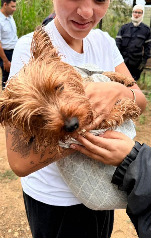 7492ca76-f0be-4d34-9dae-491d551a0db3