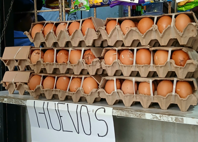 Captura de pantalla 2026-04-22 182642