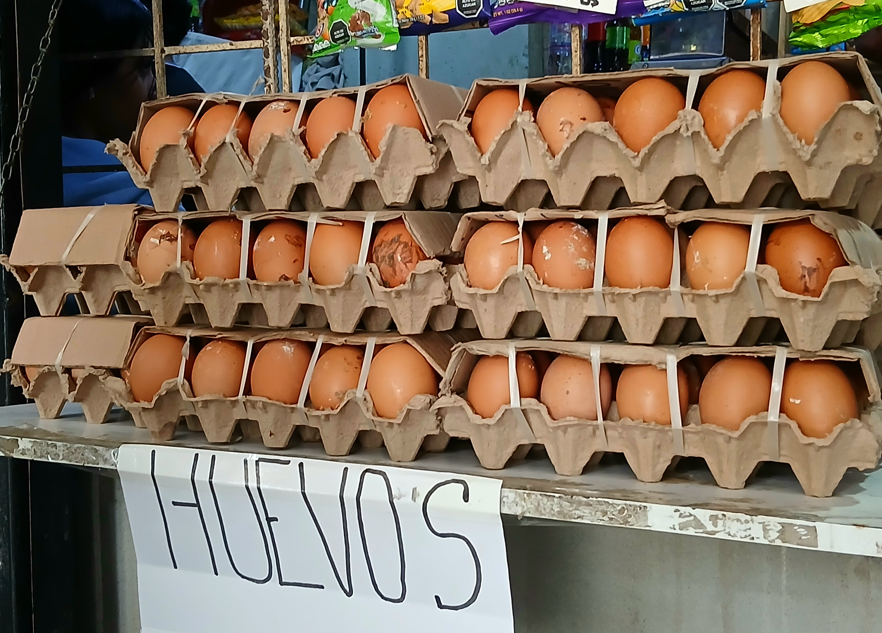 Captura de pantalla 2026-04-22 182642