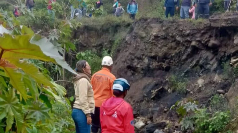 Captura de pantalla (263)