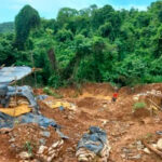 Hombre-muere-aplastado-por-un-arbol-en-Bolivar