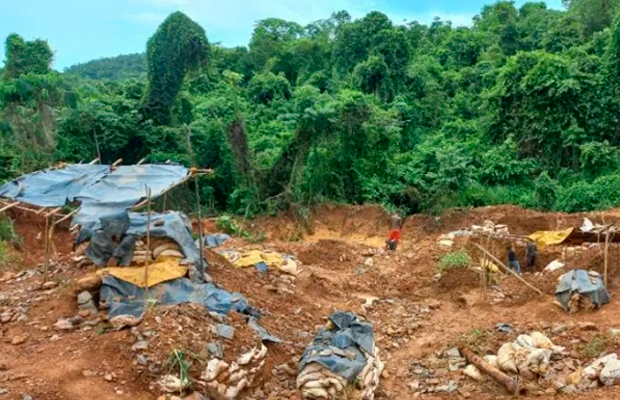 Hombre-muere-aplastado-por-un-arbol-en-Bolivar