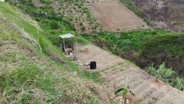 WhatsApp Image 2026-04-14 at 3.41.43 PM