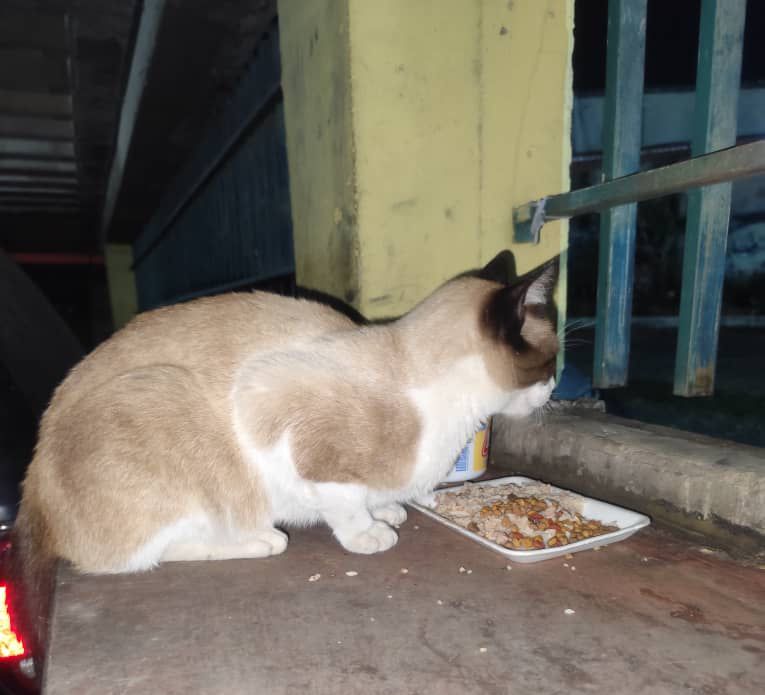 WhatsApp Image 2026-04-15 at 3.10.03 PM (1)