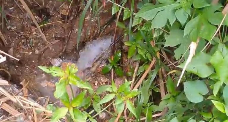 WhatsApp Image 2026-04-15 at 3.36.00 PM