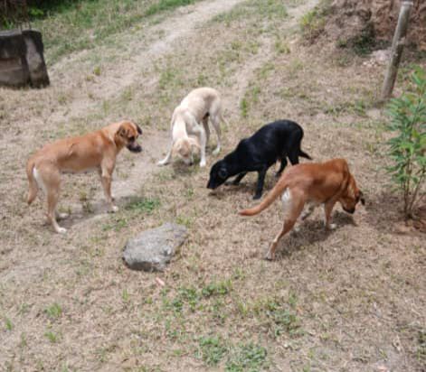 WhatsApp Image 2026-04-16 at 2.31.39 PM