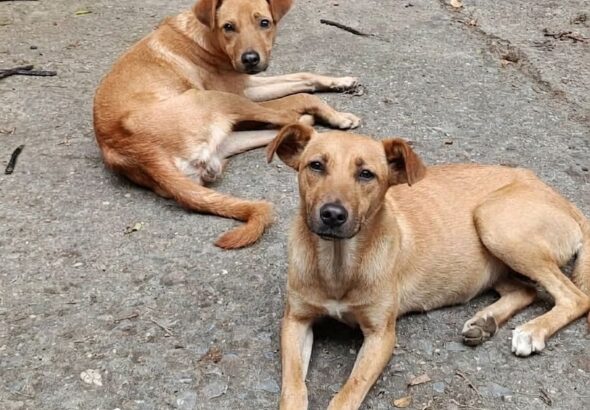 WhatsApp Image 2026-04-16 at 5.11.39 PM (1)