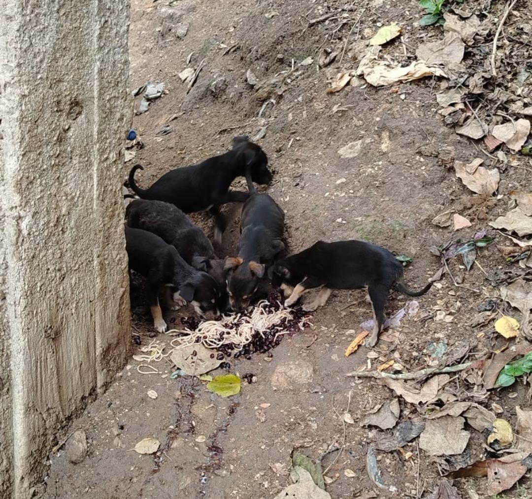 WhatsApp Image 2026-04-16 at 8.20.00 AM