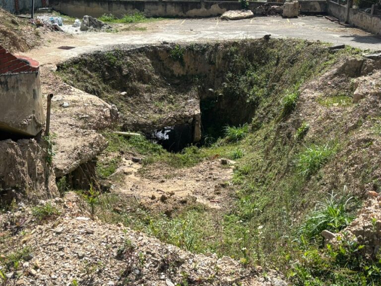 WhatsApp Image 2026-04-19 at 10.19.34 AM