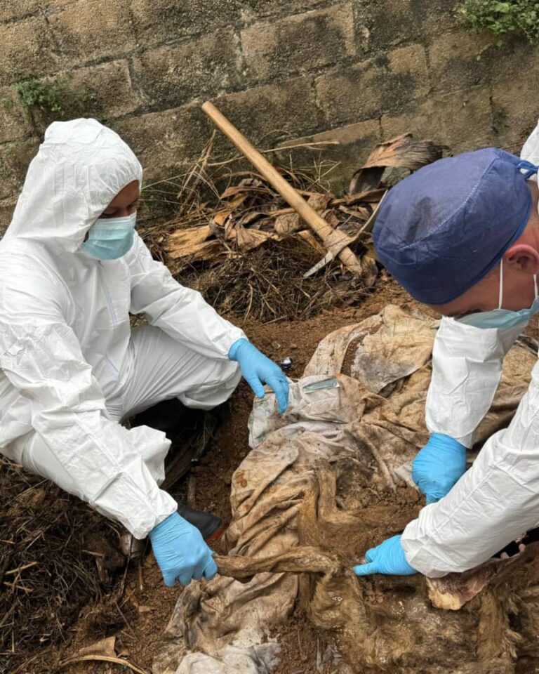 WhatsApp Image 2026-04-19 at 10.47.05 AM