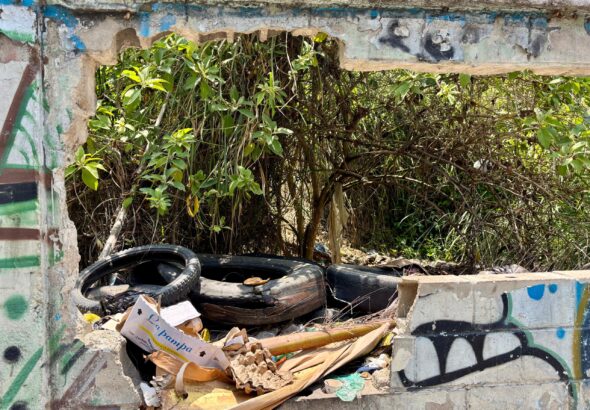 WhatsApp Image 2026-04-22 at 5.16.31 PM