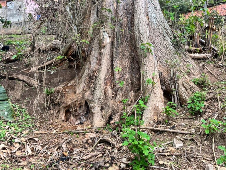 WhatsApp Image 2026-04-22 at 5.19.48 PM