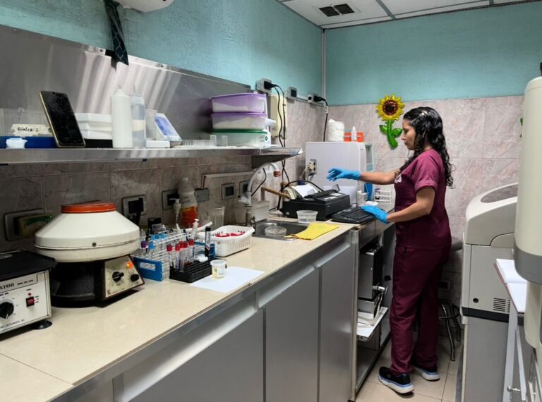 WhatsApp Image 2026-04-24 at 2.31.41 PM (3)