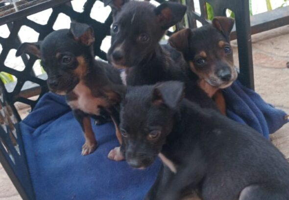 WhatsApp Image 2026-04-25 at 2.52.41 PM